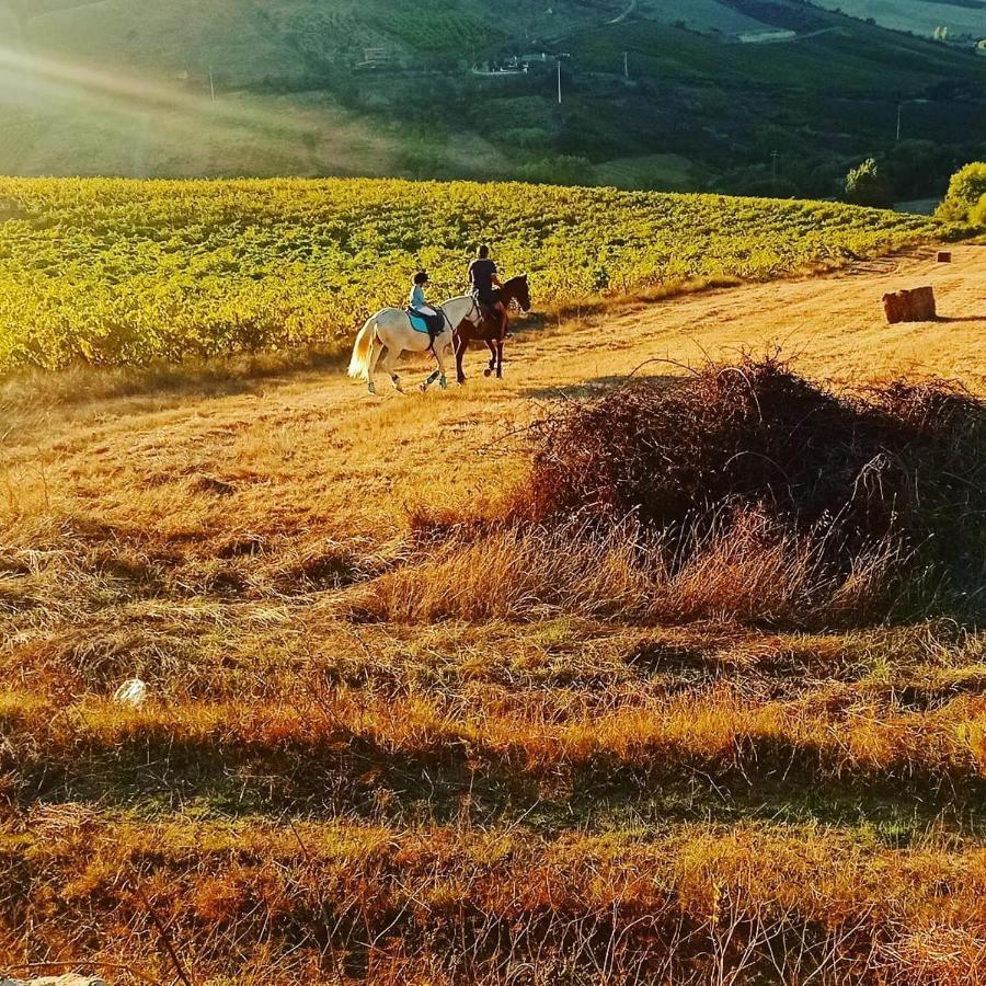 Casinha Da Lareira - Quintinha Dos Cavalos- Arruda Dos Vinhos Exterior photo