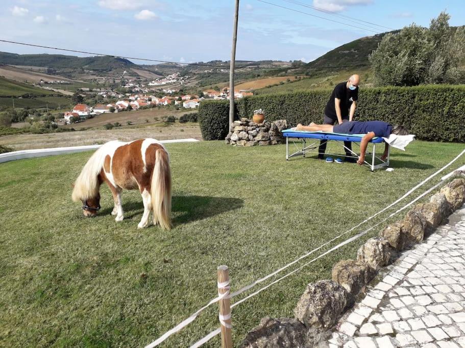 Casinha Da Lareira - Quintinha Dos Cavalos- Arruda Dos Vinhos Exterior photo